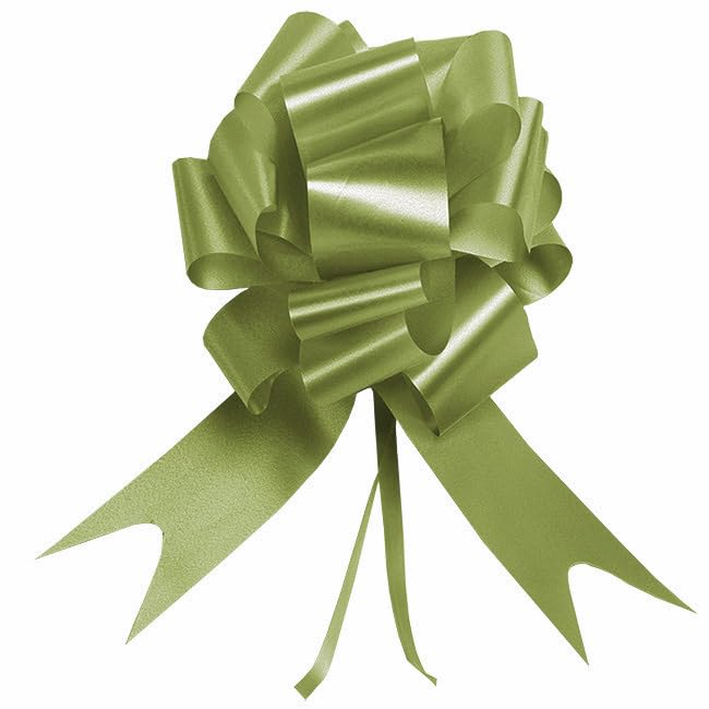 Générique Noeuds Automatiques Décoratifs en Polypro Satiné, 20 cm, Blanc, Lot de 10 (Vert Sauge)