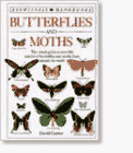 Butterflies and Moths (Eyewitness Handbooks)