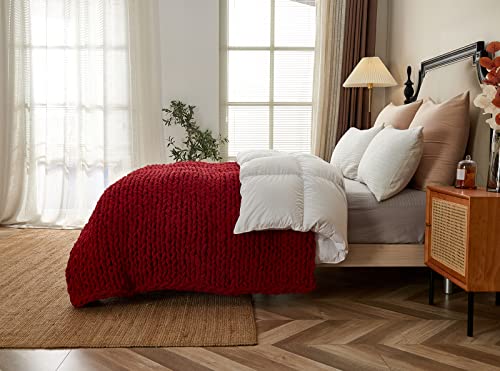 Longhui Bedding Red Handmade Chunky Knit Blankets, Luxurious Chenille Cable Knit Throw Blanket Yarn For Couch Sofa And Bed, Ultra Soft Decorative Burgundy Christmas Blanket, Machine Washable 51 X 63 #TOP6