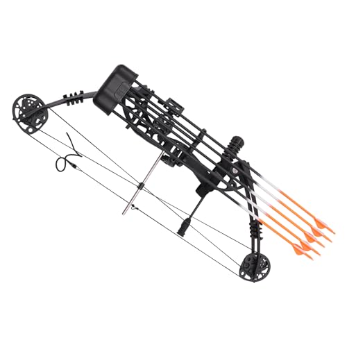 Juego de arcos compuestos de caza y objetivo, arco, tiro con arco, caza, objetivo de pesca de bowfishing, paquete compuesto de arco, kit de 12 flechas, juego de 2 unidades para exteriores con objetivo