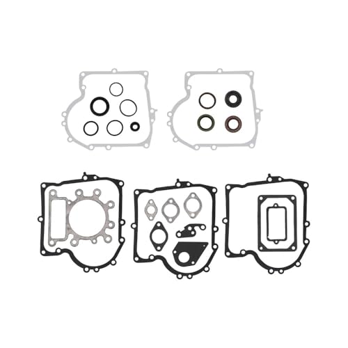 Jeu de joints de moteur pour réparer une tondeuse modèles 28N707 495993