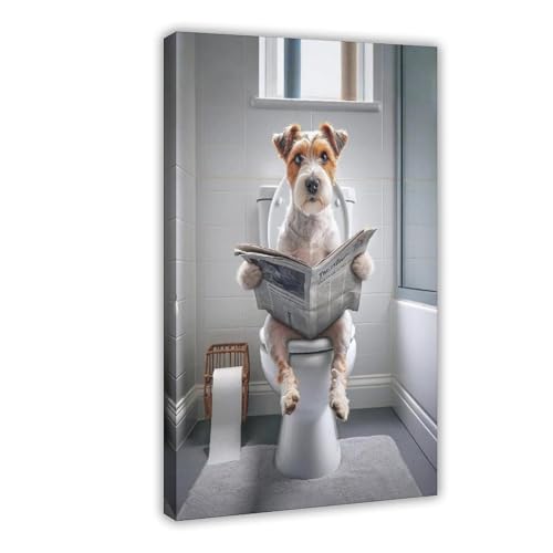 What dog looks like a jack russell