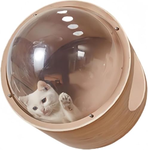 Zeruho FD LnEX ybgpxbh h[ ǕtΉ uΉ ȒP SL ^ SNΉ ϖՐ (Eh) (Eh,ؐF)