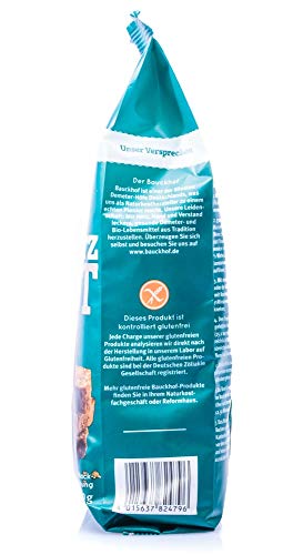 Bauckhof Bio Schwarzbrot, 500 g