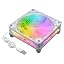 White lantern single fan