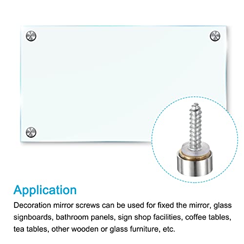 Image of METALLIXITY Mirror Screws (10mm /0.39 inch) 12Pcs, Decorative Cover Cap Nails Brushed - for Sign Advertising Hardware, Construction, Silver Tone