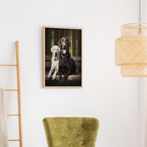 Cuadros de diamantes de Labrador VstaDank para decorar tu salón con manualidades hechas a mano 6
