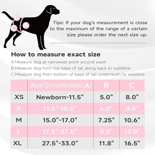 Image of Paw Legend Washable Reusable Female Dog Period Diapers for Heat Doggie Puppy Diapers for Female Dogs (3 Pack,X-Small)
