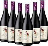 Tutti Frutti Rouge Arrogant Frog VINELLO Weinpaket (6 x 0,75l) inkl. VINELLO.weinausgießer