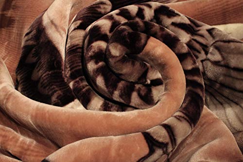 Solaron Korean Super Thick Mink Blanket Twin Size 63" X 87" Black Eagle Bm118 #TOP4