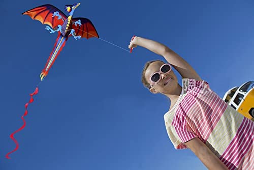 Wankd Aquilone colorato 3D per bambini, 120 x 140