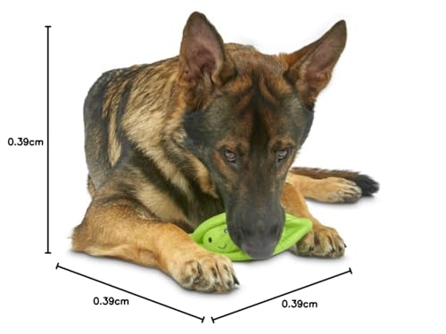 Petface Latex Erbse, Hundespielzeug, groβ