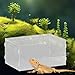 Leefasy Reptile Feeding Box Reptile Terrarium Acrylic Professional Spacious Container Turtles Box for Young Bearded Dragon, 30x20x15cm