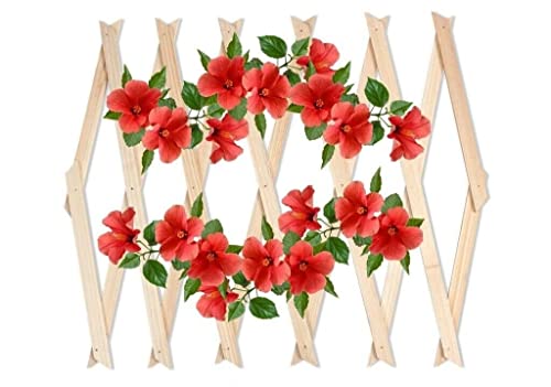 ADEPTNA Premium Expanding Garden Wooden Trellis – Easy Installation Outdoor Fence Décor Screening Patio Support For Growing Climbing Plants Flowers Lattices (180cm x 30cm, Natural)