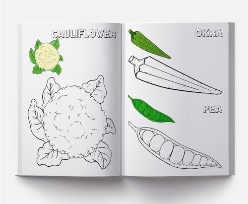 My Big Book of Creative Crayons: Copy Coloring Book