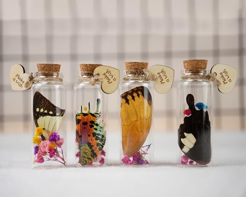 vinatimes Jar of Real Butterfly Wing Flower Specimen Cork Insect Wish Bottles Romantic Gifts Lucky Memento Boho Floral Entomology Nature Artwork Display Home Room Table Decor Shelf Gallery JAR-BU4