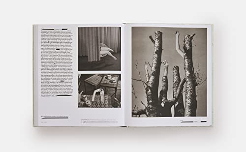 Vitamin C+: Collage in Contemporary Art - Image 10