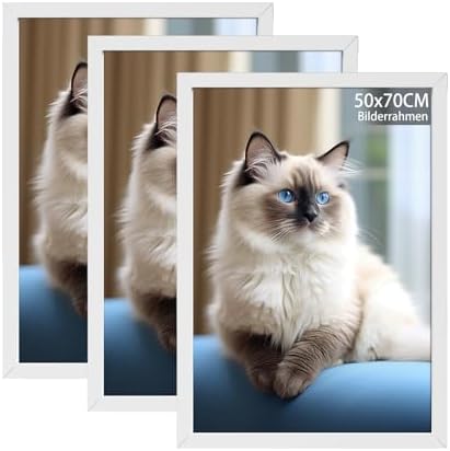 RUN HELIX 3 Pack Bilderrahmen 50x70, 50x70cm Bilderrahmen Weiß, Fotorahmen zum Aufhängen mit Poster, Posterrahmen Benutzt für Wohnzimmer, Schlafzimmer, Arbeitszimmer