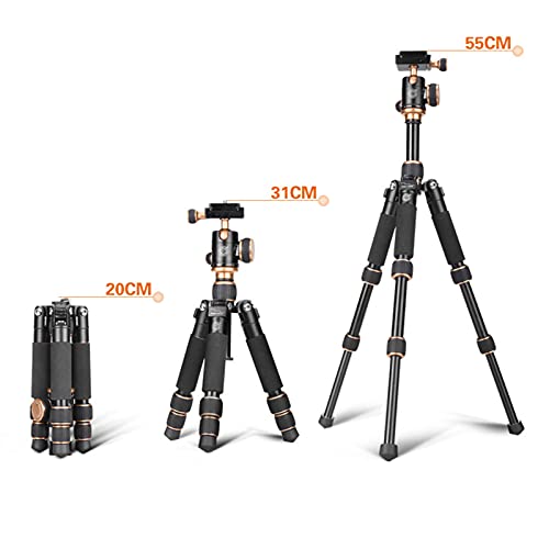 Linckry Kamerastativ für Smartphone Digitalkamera Protable Fotostativ Ministativ für Reisen Leichter Kameraständer – Bild 7