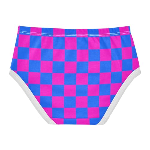Blue and Pink Buffalo Checkered Toddler Girls's Underwear 2T2
