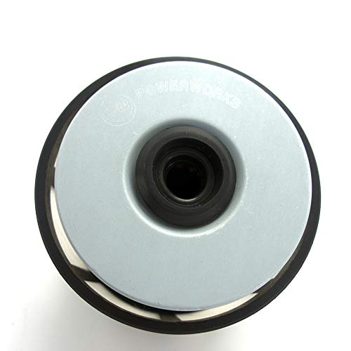 Fd4596 Fuel Filter For 7.3L Diesel - Fits For 1999-2003 Ford E350 F250 F350 F450, Fits For 2000-2003 Ford E450 Excursion, Fits For 2002-2003 Ford E550 Super Duty - Replaces Fd-4596, F81Z9N184Aa #TOP4