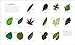The Science of Plants: Inside Their Secret World (DK Secret World Encyclopedias)