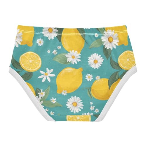 Wusikd Cute Lemons Girls' Underwear Cotton Daisies Turquoise Girls Briefs Soft Toddler Underwear 2T2