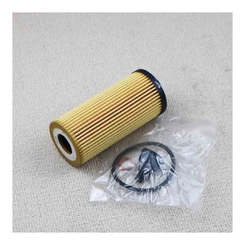 Filtro de aceite coche para X1 F48 y F56: protección total del motor de 2018 a 2019 2