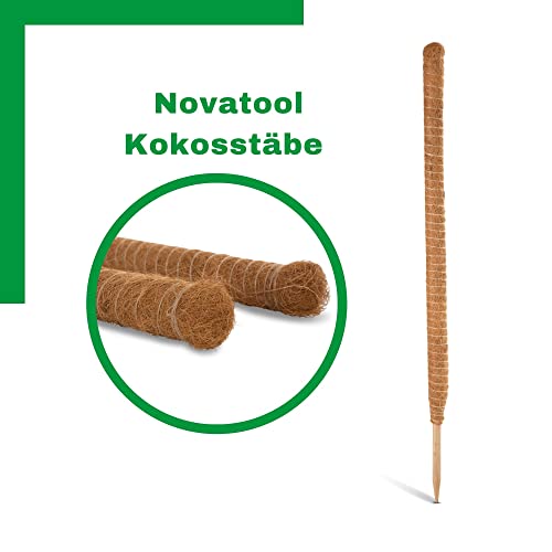 Moosstab Novatool Pflanzstab aus Kokos 110 cm verlängerbar