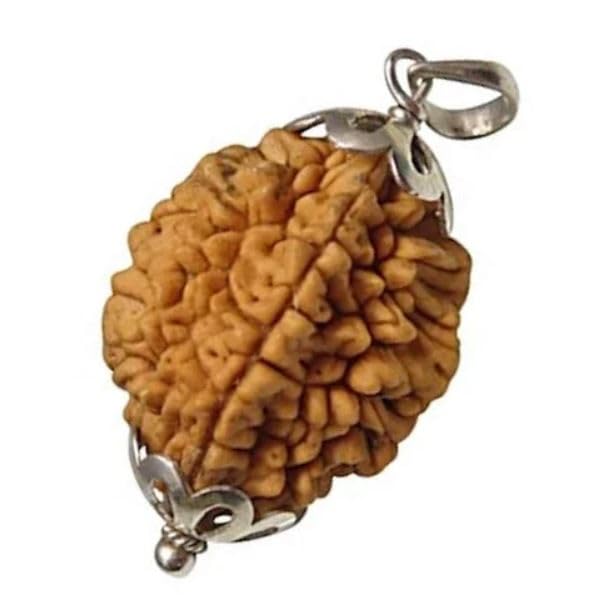 2 Face Rudraksha Original Certified Nepali दो मुखी रुद्राक्ष for Puja | DDo Mukhi Rudraksha With Silver Capping Blessed With Shiv Parvati (अर्धनारीश्वरी) Natural brown Bead For Jaap, Mala-image-29
