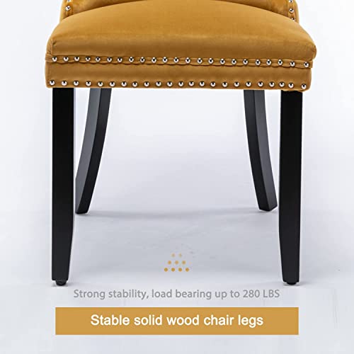 Image of Virabit Velvet Upholstered Chairs Set of 6, Tufted Dining Chairs with Nailhead Back and Ring Pull Trim, Solid Wood for Kitchen /Bedroom /Dining Room (Gold)