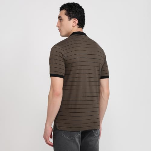 Image of Park Avenue Men Slim Fit Stripe Pattern Pure Cotton Polo Neck Half Sleeve Casual T-Shirt