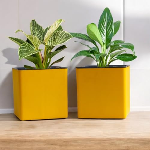 Image of Indian Discovery Self Watering Tabletop Planter| Flower Pots for Home, Terrace, Balcony, Vertical Garden Decor Flower Pots(2 PC, Yellow, Square) |6 Inch UV-Resistant Plastic Plant Pots