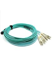 Jeirdus 10M MPO/MTP to 8 x LC (4 Duplex) 8 strands Breakout Cable,QSFP 40GBase-SR4, OM4 Fanout Fi...