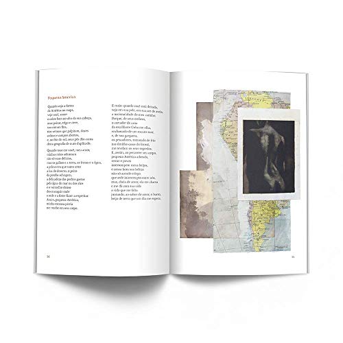 Poemas de Pablo Neruda para jovens