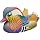 Mandarin Duck