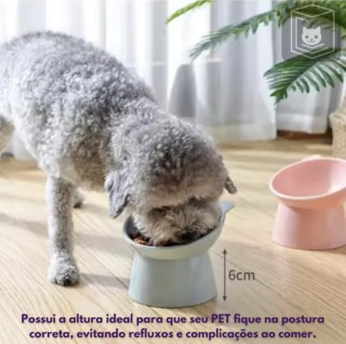 Comedouro Bebedouro Elevado Inclinado Acrilico Para Gatos Ergonomico Postura Correta 400ML - Modelo