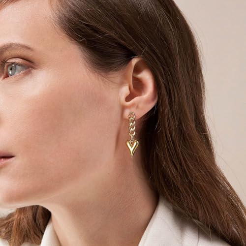 Gold Link Tassel Earrings for Women 14K Gold Plated CZ Link Chain Tassel Earrings Silver Drop Dangle Earring Ears Jewelry Gifts4