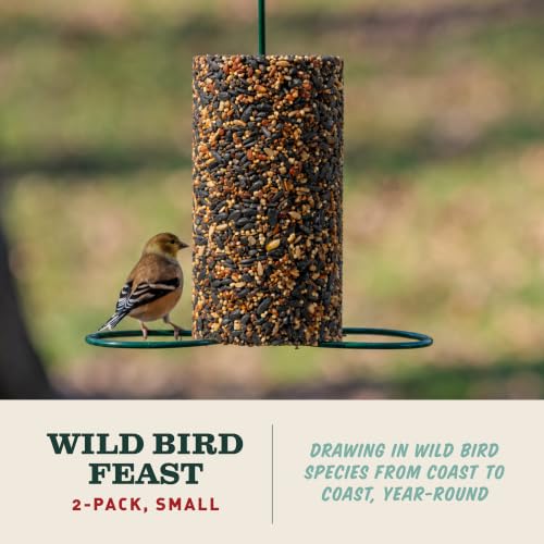 Image of Mr. Bird WildBird Feast Cylinder, 2-Pack, 1 lb 15 oz | Wild Bird Seed for Outside Feeders | Premium Blend of Pecans, Sunflower Hearts & Millet | No Mess, No Melt