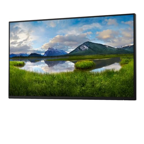 Dell 24 Monitor P2425H