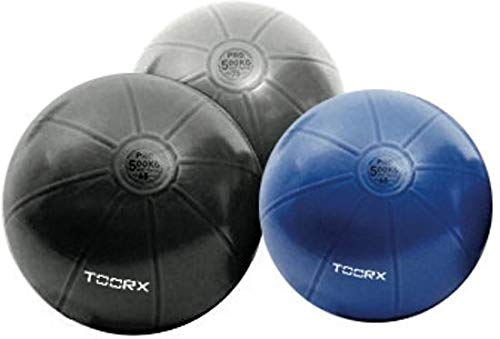 TOORX Gym Balls Pro