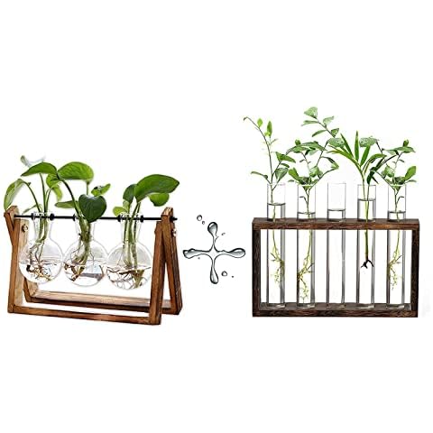 XXXFLOWER Plant Terrarium with Wooden Stand, Air Planter Bulb Glass Vase Metal Swivel Holder Retro Tabletop for Hydroponics Home Garden Office Decoration Cover