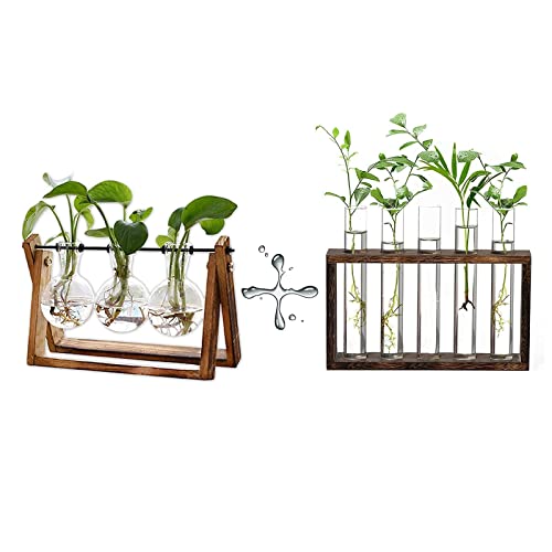 XXXFLOWER Plant Terrarium with Wooden Stand, Air Planter Bulb Glass Vase Metal Swivel Holder Retro Tabletop for Hydroponics Home Garden Office Decoration