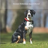 schweiz tiere einführen  Grosser Schweizer Sennenhund 2022 Kalender: Wandkalender 2022 für Tierliebhaber - 8.5x8.5 inches - Geschenke für Familie und Freunde - tiere lustig