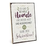 TypeStoff Holzschild mit Spruch – ES GIBT SO VIELE HUNDE 