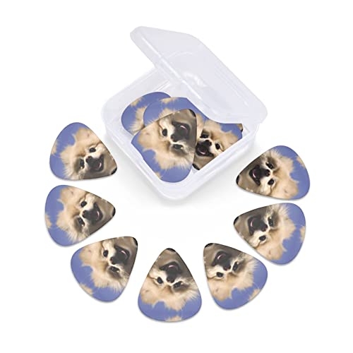 Ensemble de 12 médiators de guitare de Poméranie mignons pour guitare acoustique, guitare électrique, contrebasse… - Les Beatles, Paul McCartney, John Lennon, RIngo Starr, George Harrison Ensemble de 12 médiators de guitare de Poméranie mignons pour guitare acoustique, guitare électrique, contrebasse… – Image 7