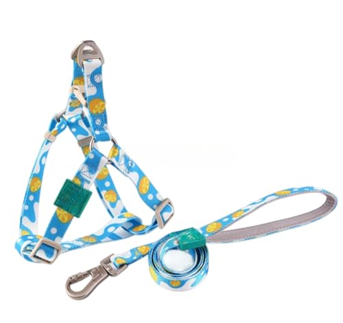ZITIXO  [h 120cm ^ ^ ^ p [v TXy_[Zbg ybgpi ϋv \tg y @\ ߂ł郊[h _炩莝 ʋC ɂȂ P U  xޗ (M,u[Zbg)