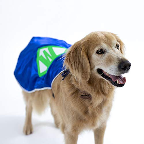 Capa Superhéroe Personalizada para Perro Pequeño miniatura 3