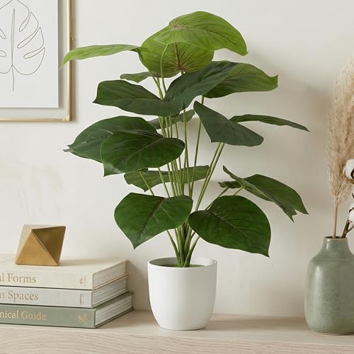 Image of Dekorly Fake Plants Artificial Floor Plants Large Tropical Palm Tree Tall Monstera in Pot for Indoor Outdoor Home. (Alocasia(Red Line Leaves), 2ft 2in)