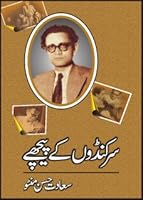 سرکنڈوں کے پیچھے 9693520998 Book Cover